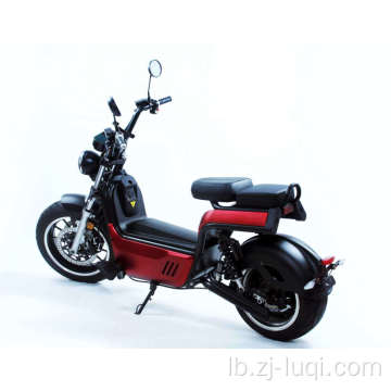 Big Muecht Long Range Elektresch Motorrad